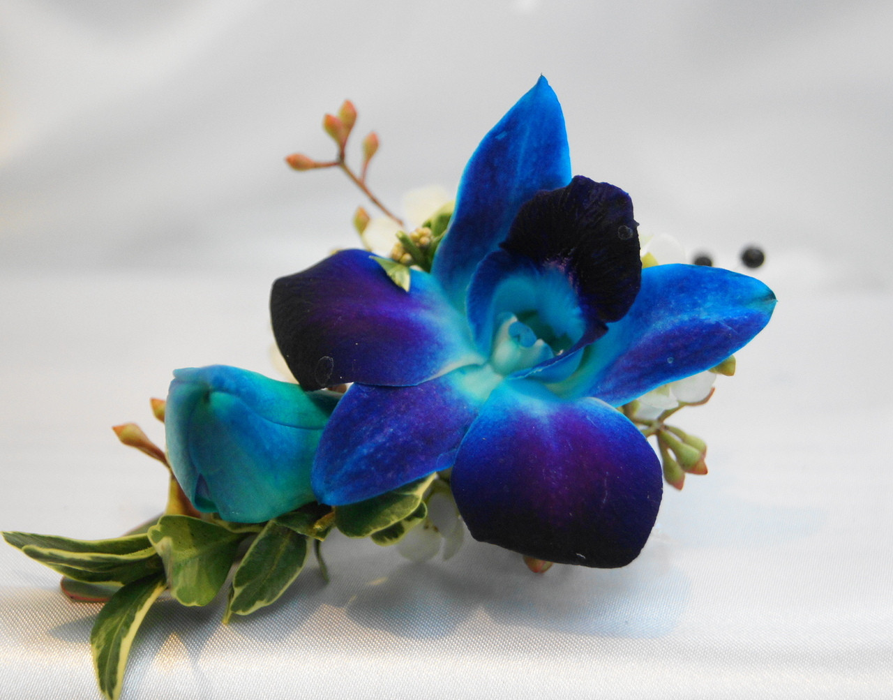 light blue orchid corsage