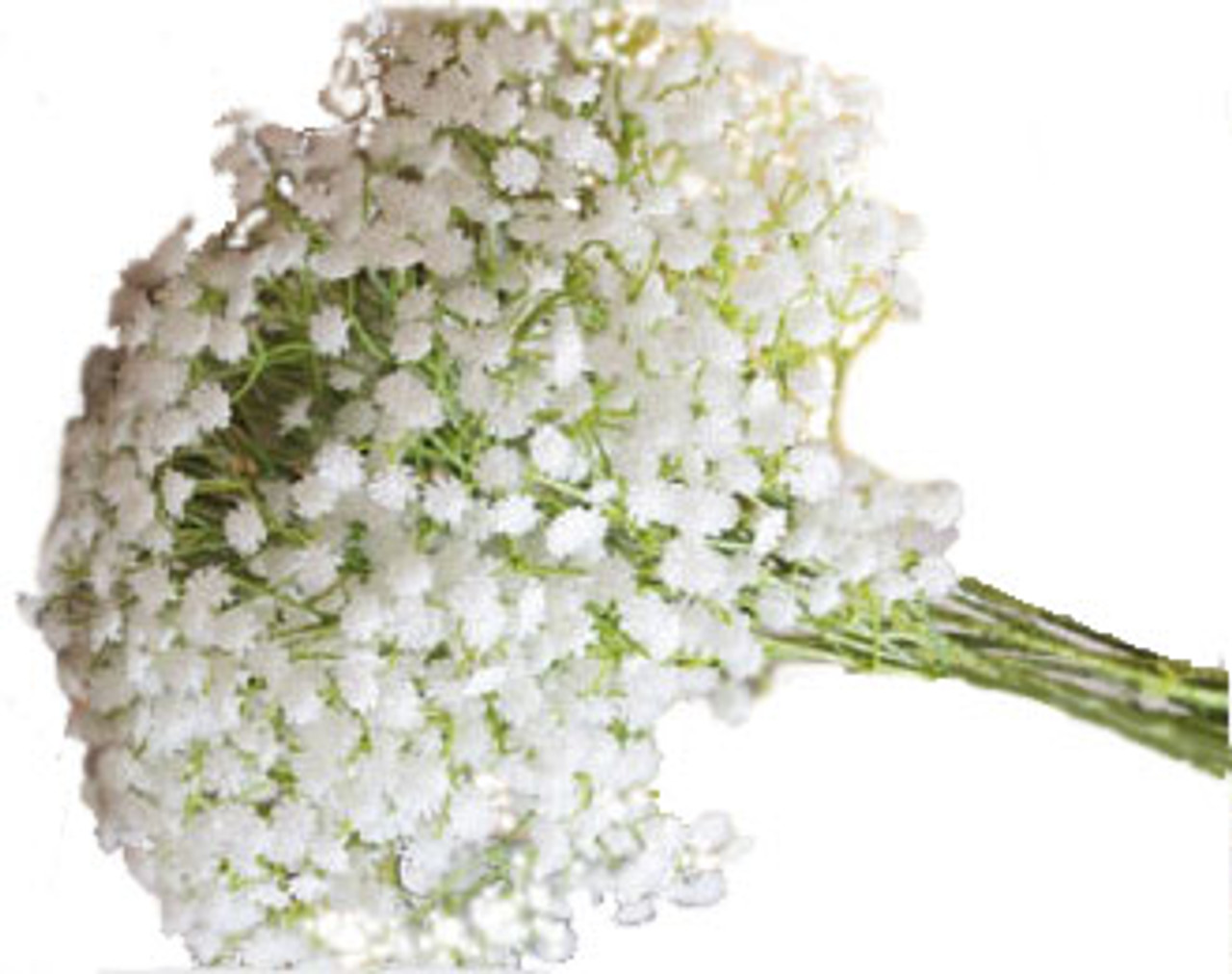 Baby's Breath: 200 stems pictured for those who want to know