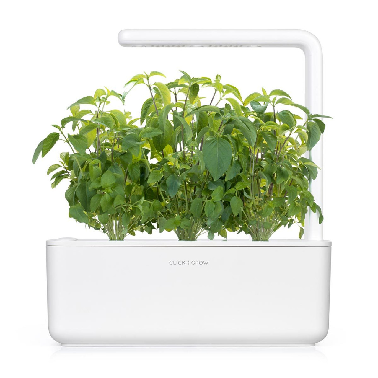 Click & Grow Plant Pods - 3-Packs Thyme