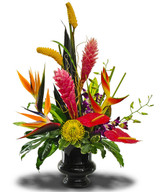 Minneapolis Florist | Send Flowers Minneapolis | Soderbergs Floral and Gift