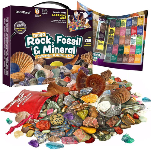 Mega Rock, Fossil, & Mineral Collection Mega Rock, Fossil, & Mineral Collection