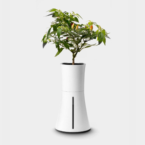 Botanium Hydroponic Growth Kit - White Smoke Botanium Hydroponic Growth Kit - White Smoke