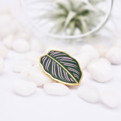 Calathea Ornata Enamel Pin Calathea Ornata Enamel Pin