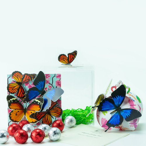 Beautiful Butterflies Celebration Box, By Chandelier Cards Beautiful Butterflies Celebration Box, By Chandelier Cards