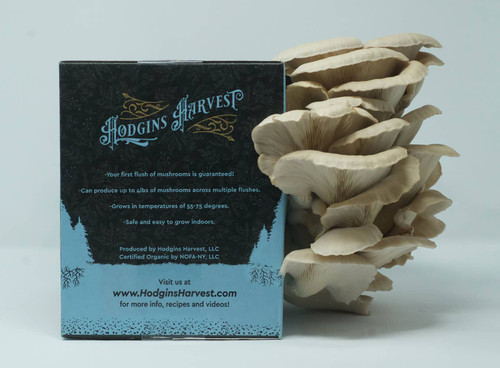 Organic Mushroom Grow-Your-Own Kit Organic Mushroom Grow-Your-Own Kit