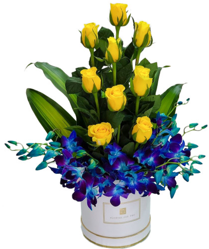 Simply Divine Yellow Roses and Blue Orchids