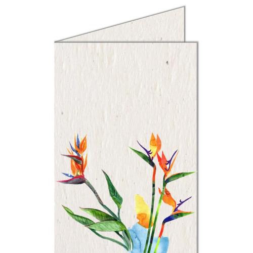 Growing Paper Greeting Card - Seed Infused Paper by Koru Street Growing Paper Greeting Card - Seed Infused Paper by Koru Street