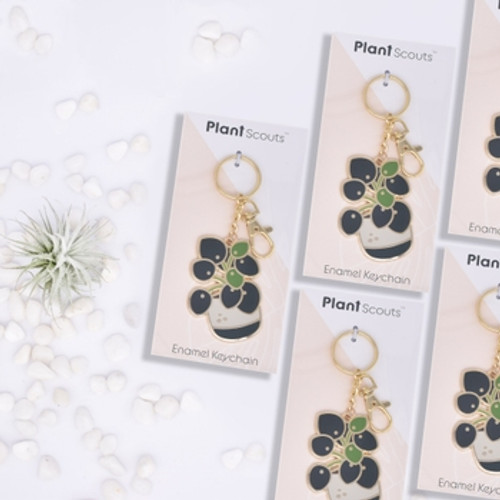 Pilea Keychain Pilea Keychain