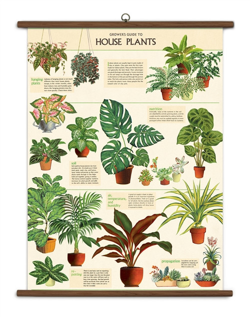Cavallini & Co House Plants School Chart