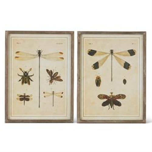 23.625 Inch Dragonfly Print With Wood Frame Set of 2