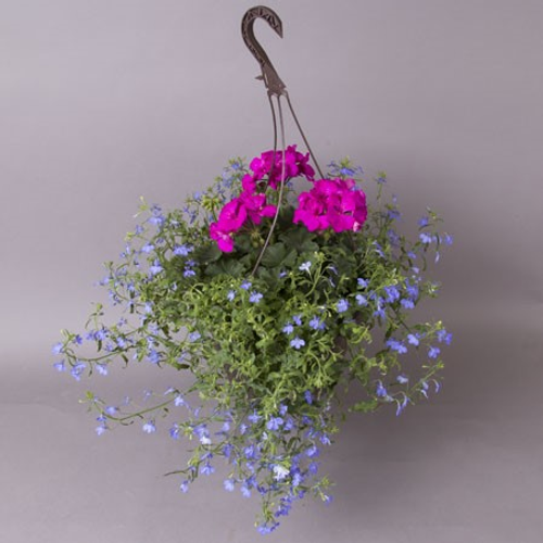 10" Outdoor Hanging Basket  Geranium Pink Combo |  Mpls/St Paul Delivery Only