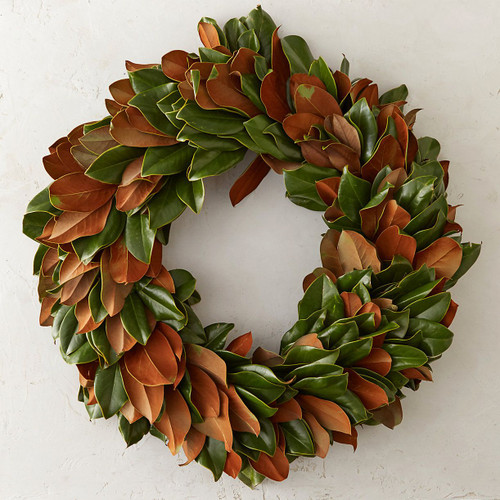 24" Fresh Magnolia Wreath 24" Fresh Magnolia Wreath