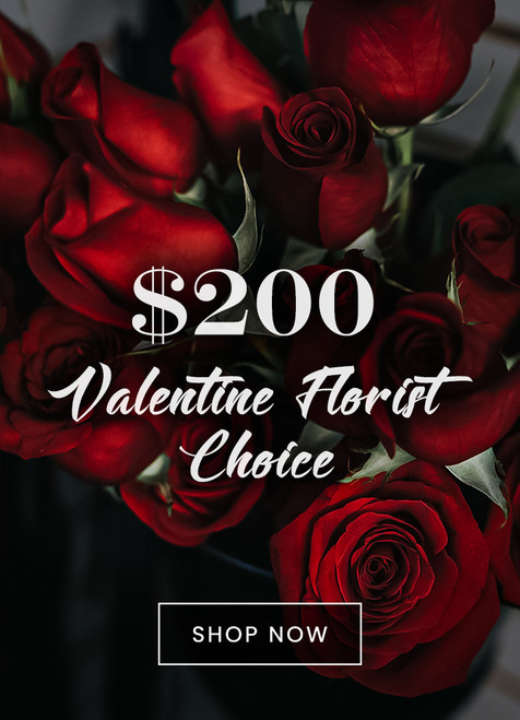 $200 Valentine's  Day Designers Choice