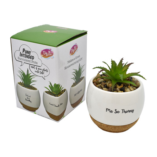 Mini Quotes Faux Succulent Plant and Pot Mini Quotes Faux Succulent Plant and Pot