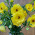 Ranunculus   ~ Sold By The Single Stem