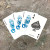 Hotdish / YouBetCha Bridge Playing Cards by Adam Turman for Maynard's