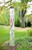 Home in the Garden 60" Art Pole