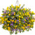 13" Outdoor Hanging Basket  Designer Choice Combo's | Mpls/St Paul Delivery Only