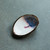 Ceramic Abalone Smudge Dish, in Desert with 22K Gold