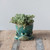 8" Planter w/ Frog Base, Reactive Glaze, Green, Set of 2 By Creative Co-op