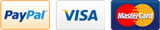 Paypal Visa Master Card