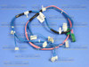 Whirlpool W10283495 - Harns-Wire