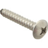 Screw, Sm/Th/Ss (100) - Replacement Part For AllPoints 6121224
