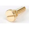 Southbend 1179703 - 1/4-20 Brass Knurled Blt