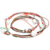 Frymaster 807-4597 - D Series Wiring Harness