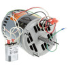 Bloomfield WS-63932 - Motor