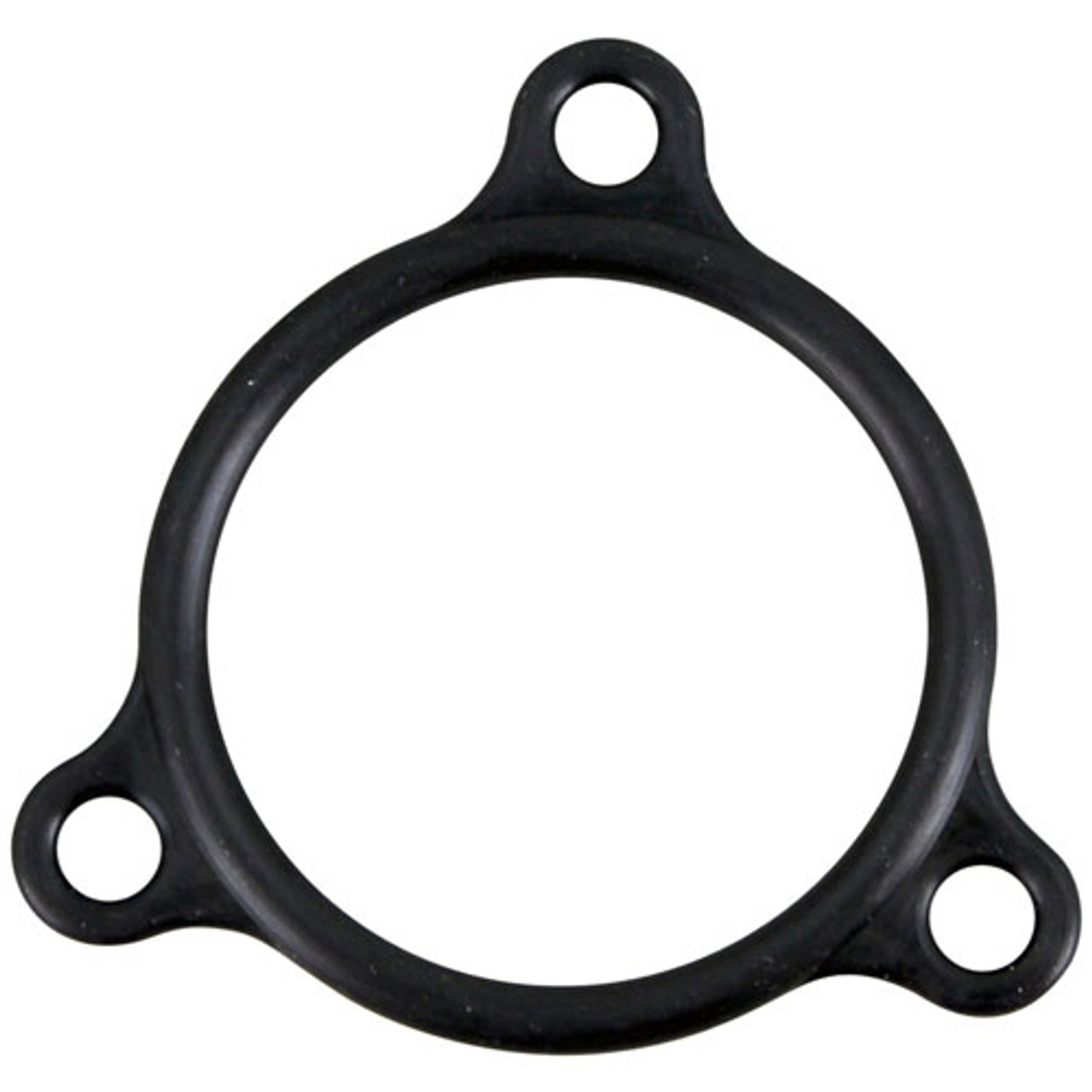 Champion 109985 - Heater Flange Seal