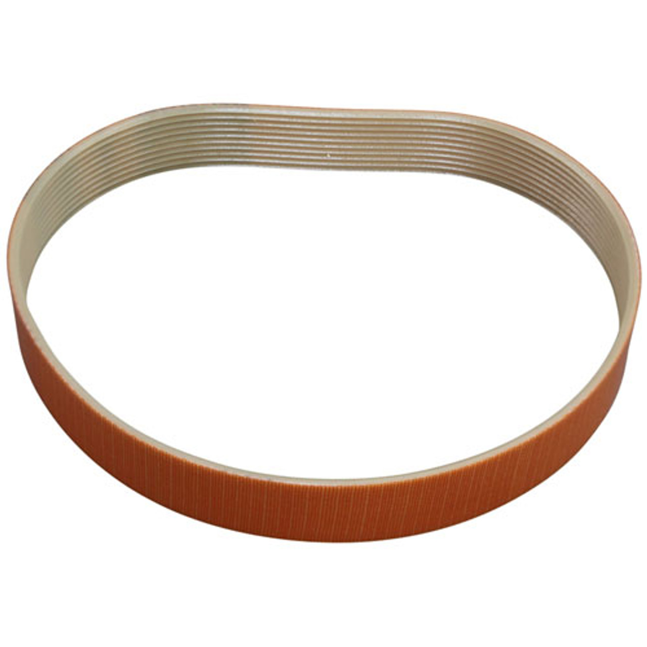 Globe M024 - Drive Belt