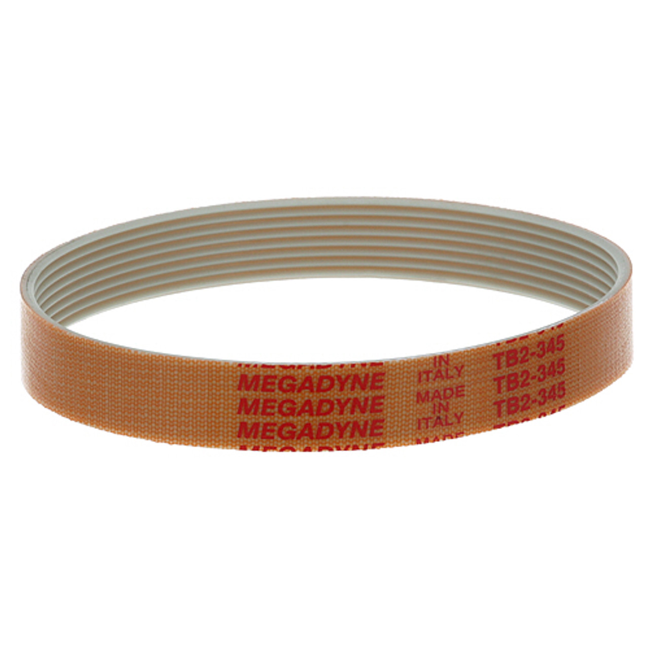 Globe 55 - Drive Belt