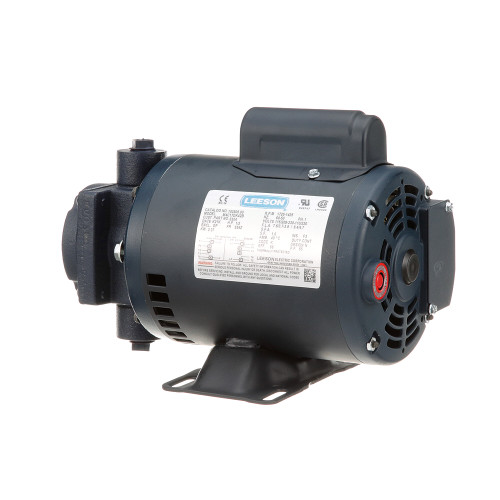Filter Pump Motor, 1/2Hp , 110-115V/220-230V - Replacement Part For AllPoints 2271005