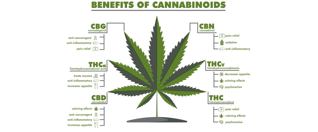 Understanding the Science Behind Cannabinoids