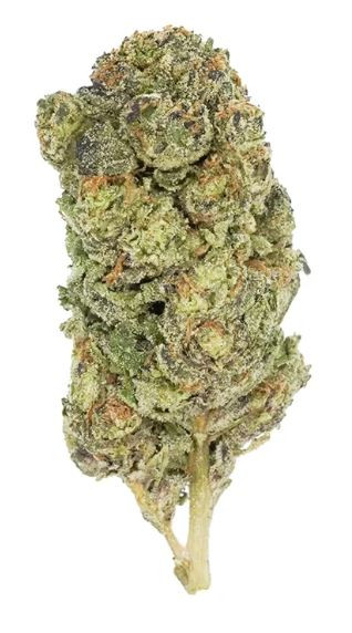 Gas Boys Boutique THCA Flower 3.5G Bud Maui Wowie