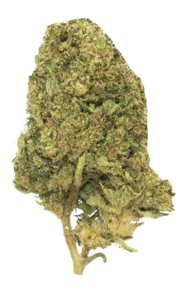 Gas Boys Boutique THCA Flower 3.5G Bud Key Lime Jack