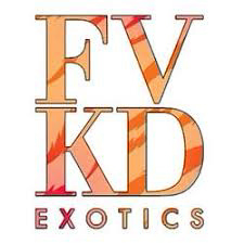 FVKD brand logo