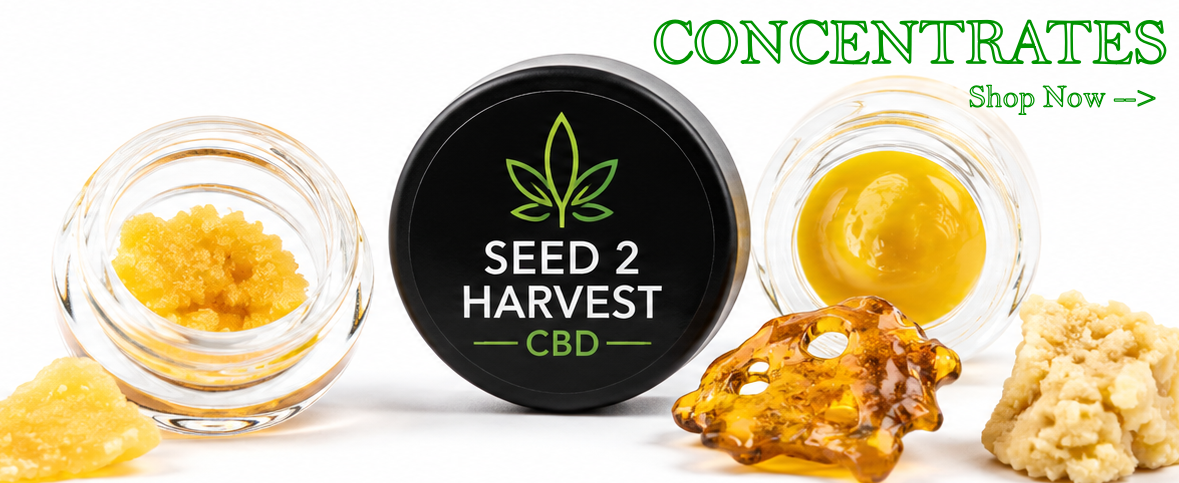 thc concentrates wax