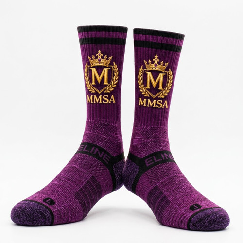 MMSA4-1