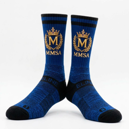MMSA2-1