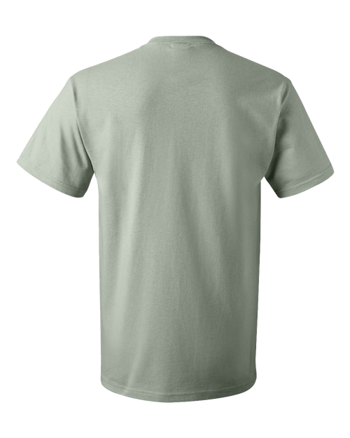 SAGESTONE-2