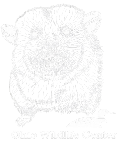 DRYBLEND T-SHIRT