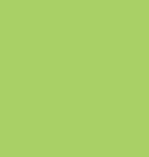 Safety Green (50/50)-4