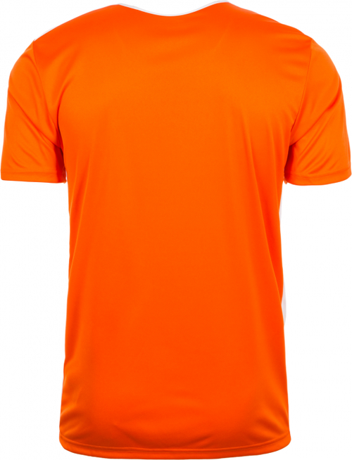 Orange-2