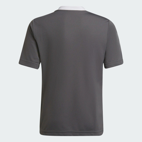GREY-2