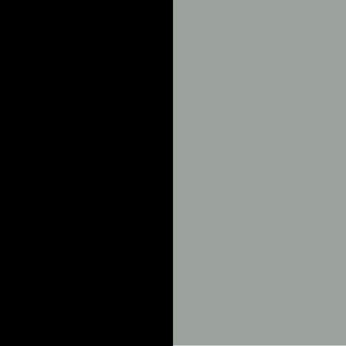 SILVER/BLACK-3