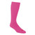 Fuchsia-1