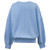 PERIWINKLE-2