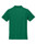 Kelly Green-2